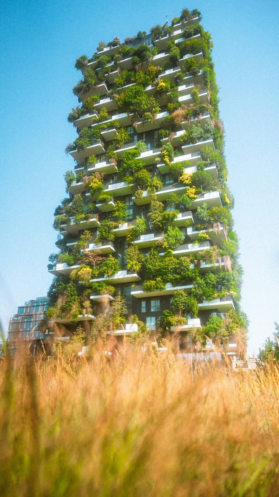 Future sustainable architecture