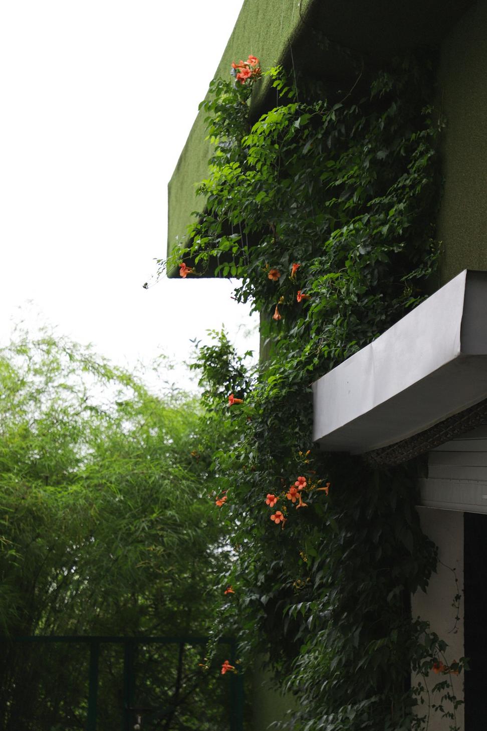 Sustainable architecture features